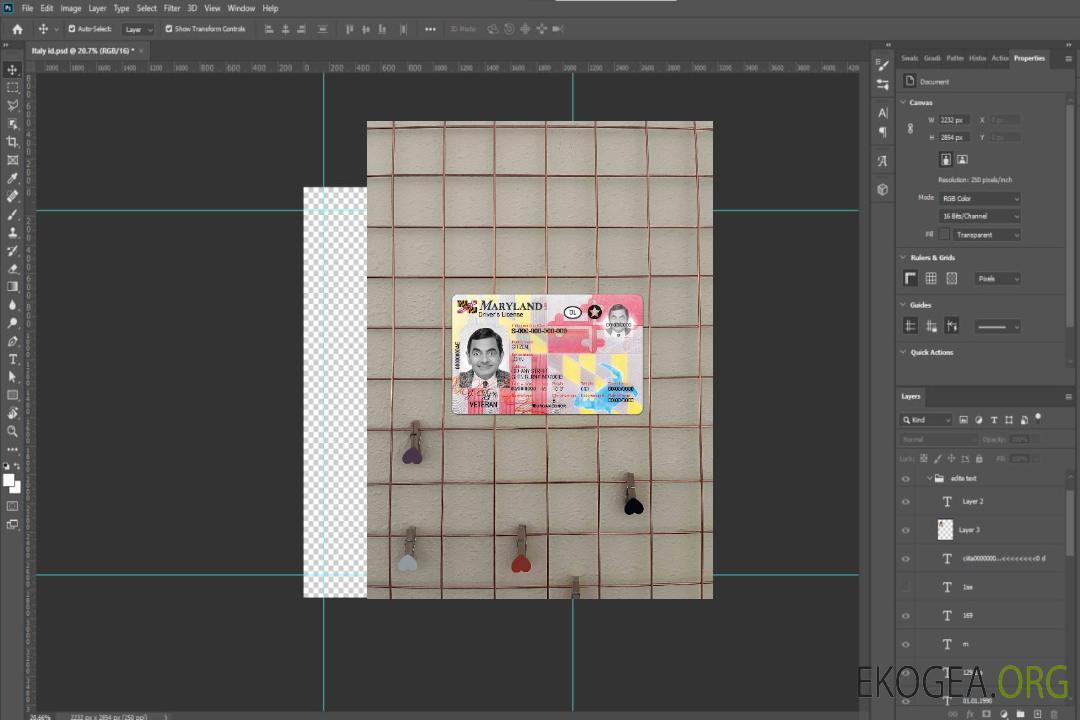 USA Maryland DL 2016 - présent photolook AVANT template USA Maryland DL 2016 - présent photolook AVANT template